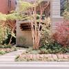 裏不動産屋さん