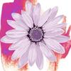 puxian