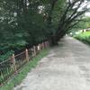 トムトムさん