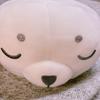 白あざらし