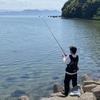 たぬき0808