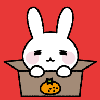 さち（red bunny）