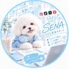 SENA｜SNS集客・フォロワー増加