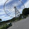 ひよこ228