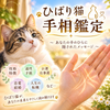 ひばり猫 手相鑑定