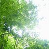 鮎川 治佳