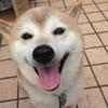 コタローさん♫