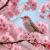 ゆるりと看護師✿手術室