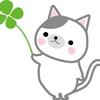 Haru0411cat