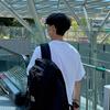 ほじょん 代理旅行者