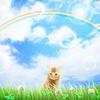 dhlove0640