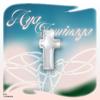 tomi_design