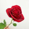 marip_rose