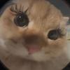 yuasan__00