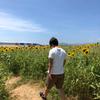 あまりざ