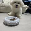 Yuya_SNSコンサル