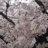 幸祈YUKI