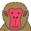 kanijungle