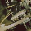 ben_drums
