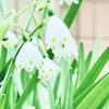二月八日