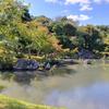 nobu_006
