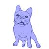 fureburu_poo
