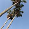天地佑