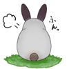 これぴよん