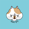 す ち