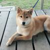 おねんねミツコ