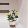 心の窓口CAFE