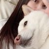 美咲 あおい
