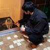 shunsuke2108
