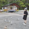 salonkanna