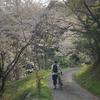 Lit cyclist