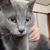 やまもはうす