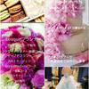 flowerfierte