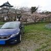 ゆーき　北海道のドライブ好き