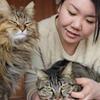 ねこのて の けぃちゃん