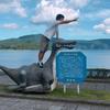 user