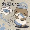シャチネコ