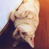 ほの。