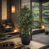 和癒家　観葉植物とインテリア