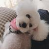 くりむ12