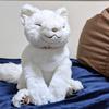 おろちう