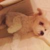 さなさなさなさな