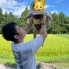 おおいはると