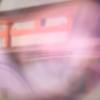 もも子かめ子