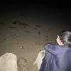 ぴぴりょう！