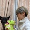 あやか動画編集•SNS運用代行